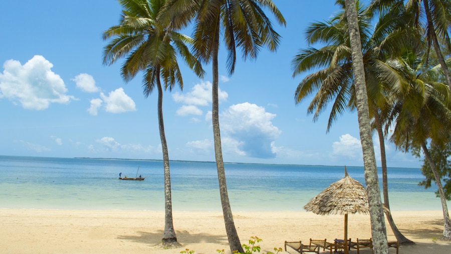 Antonio Beach Hotel and Spa