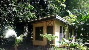 Exterior - Dolphin Bay Divers Retreat (Viani Bay)