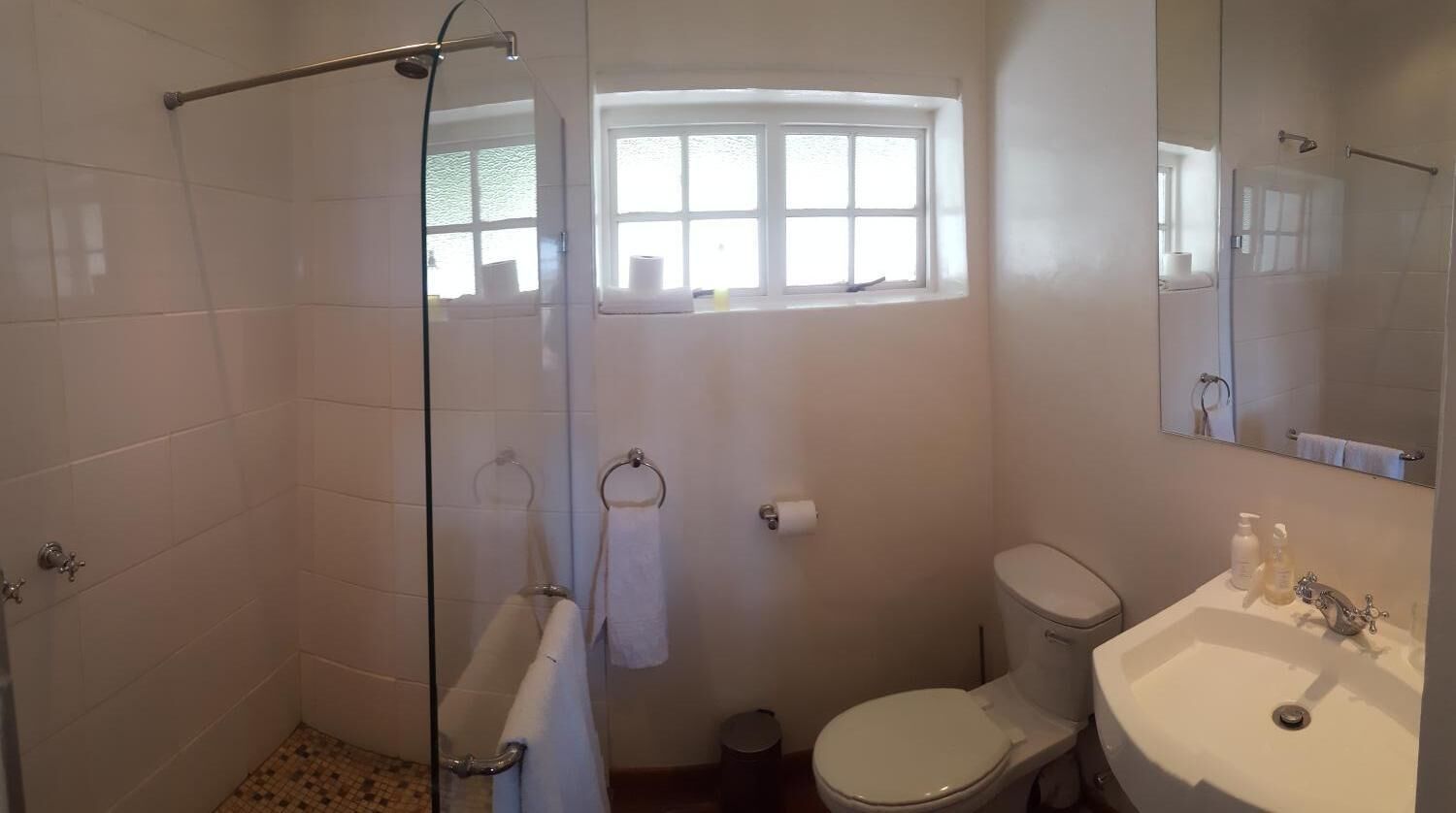 A bathroom with a glass shower enclosure, a toilet, a sink, and a window.