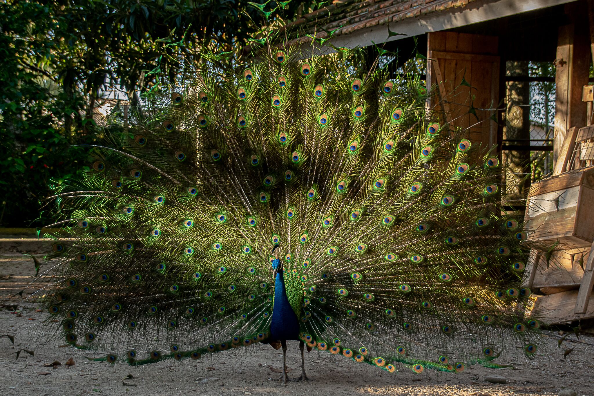 Photo - Pousada Chácara Rio Jordão
