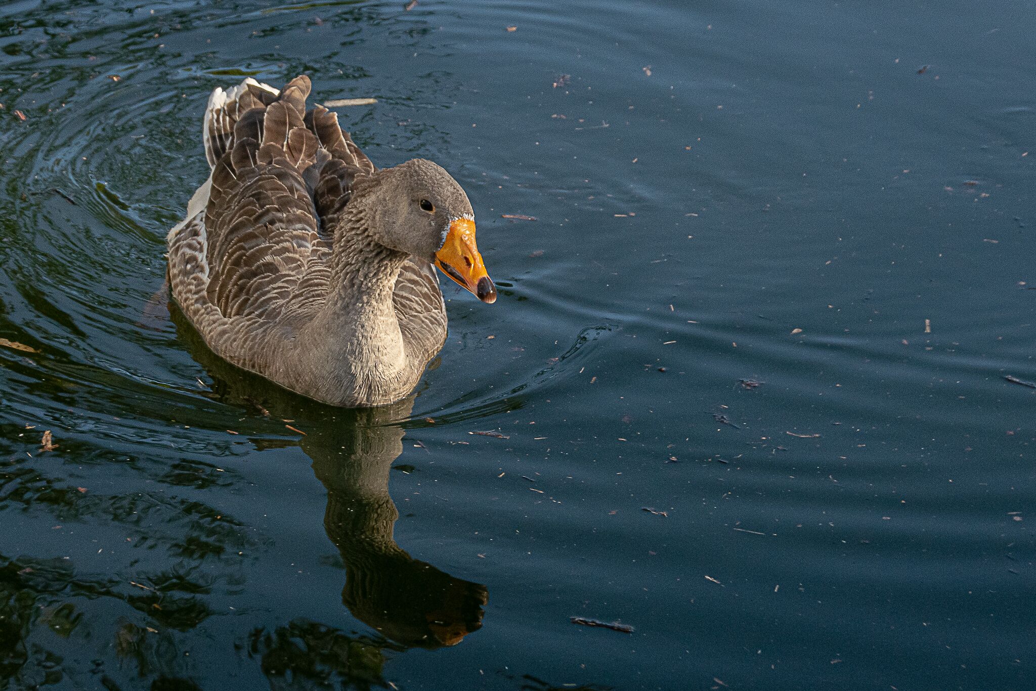 Photo - Pousada Chácara Rio Jordão