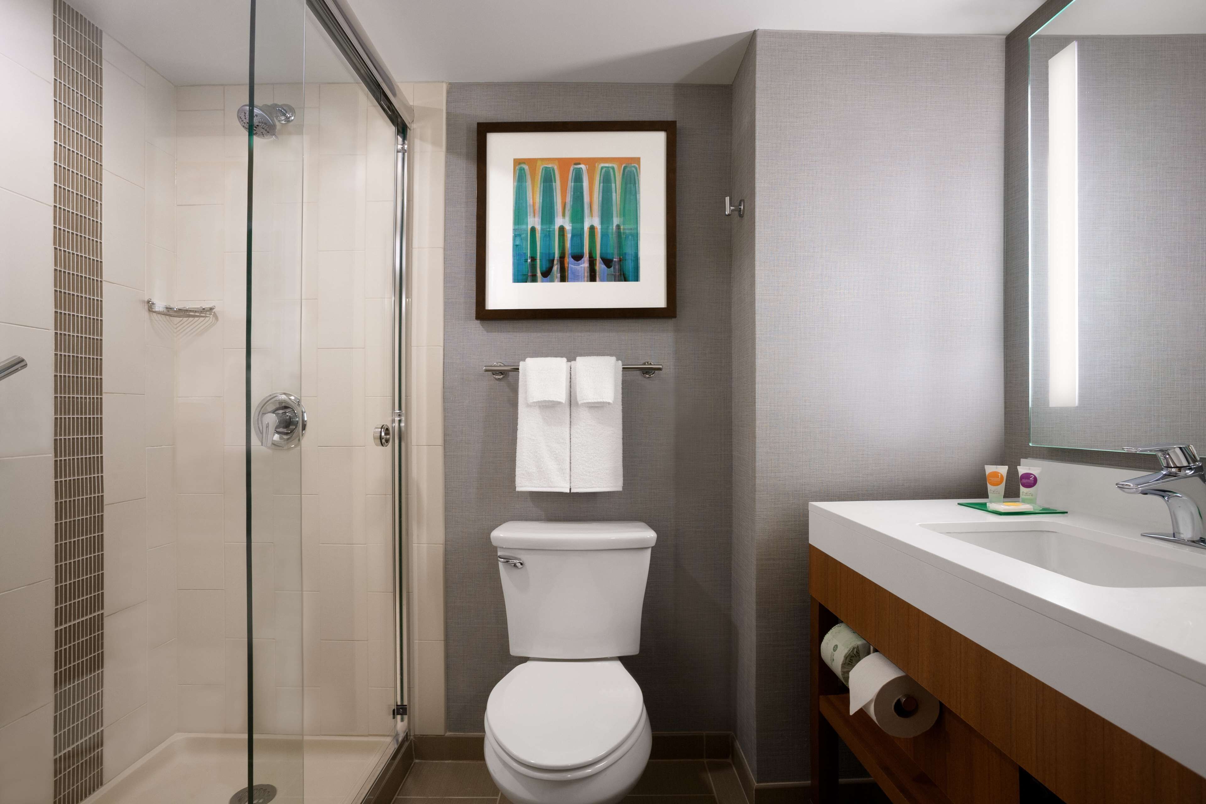 Une salle de bain moderne avec une douche à parois de verre, des toilettes blanches, un lavabo avec un miroir et une œuvre d’art encadrée accrochée au mur.