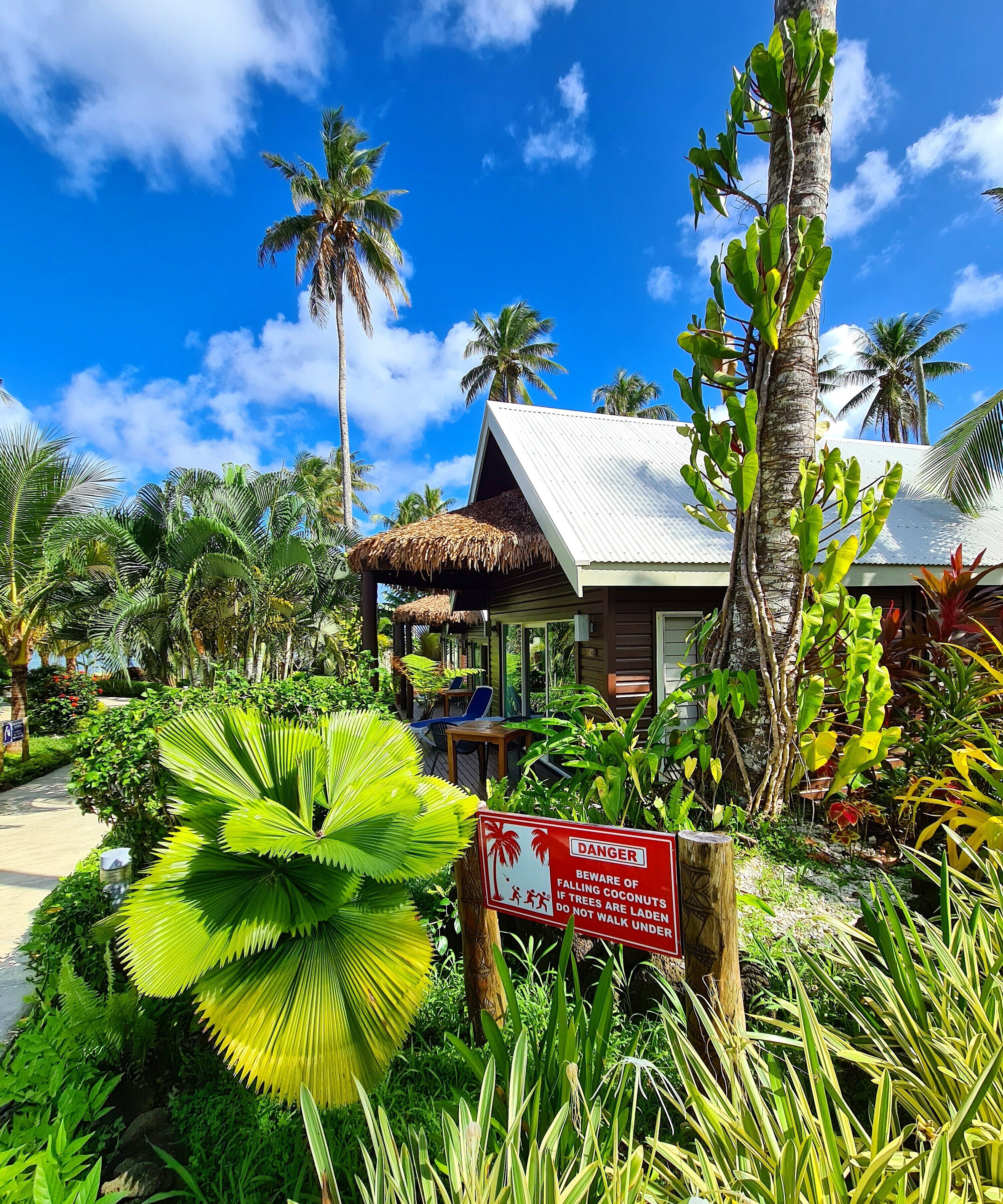 A tropical resort with a thatched-roof structure, lush greenery, and a warning sign about falling coconuts.