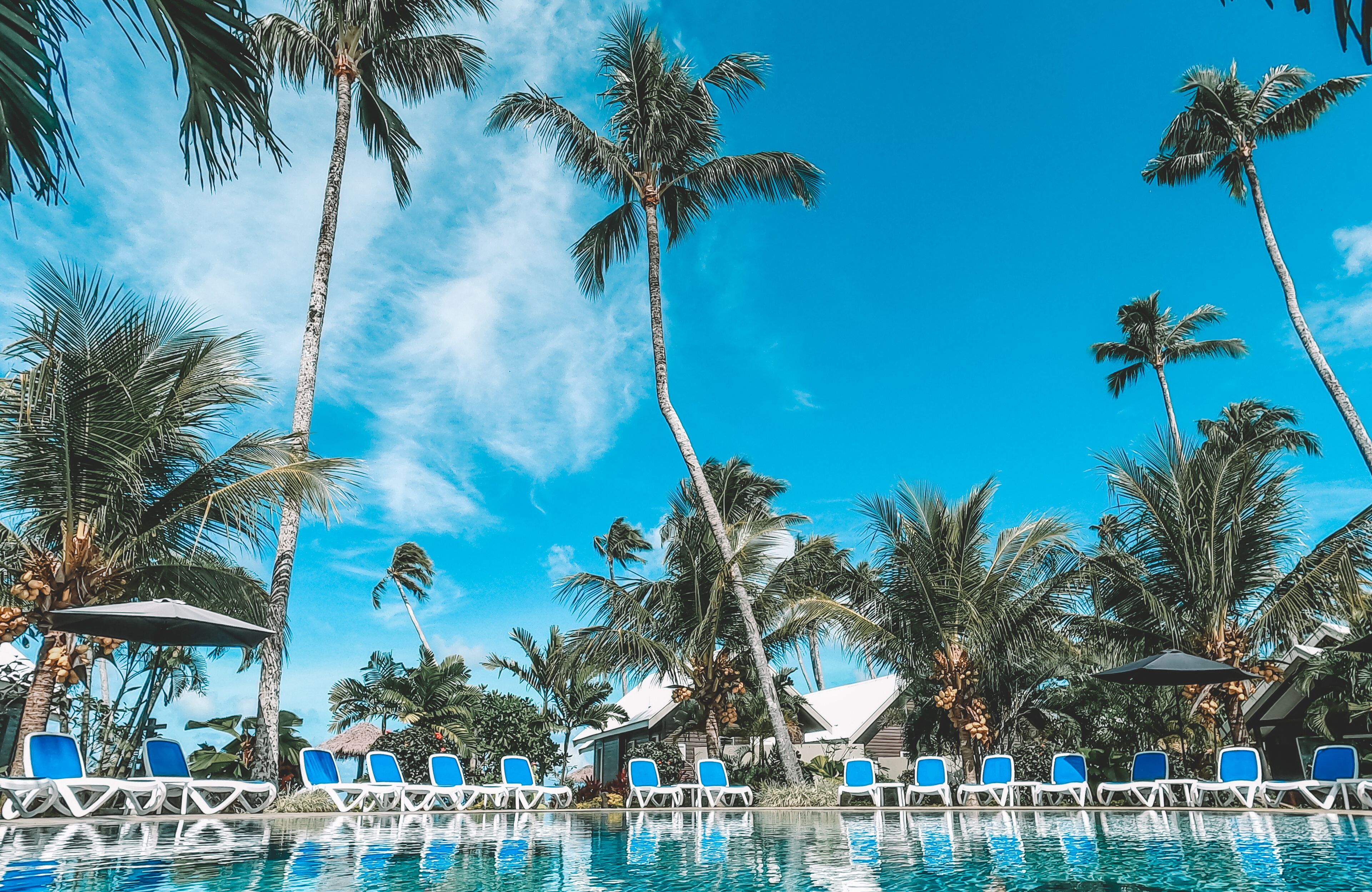 Un espace aménagé au bord de la piscine, avec des chaises longues et des palmiers, sous un ciel bleu dégagé.