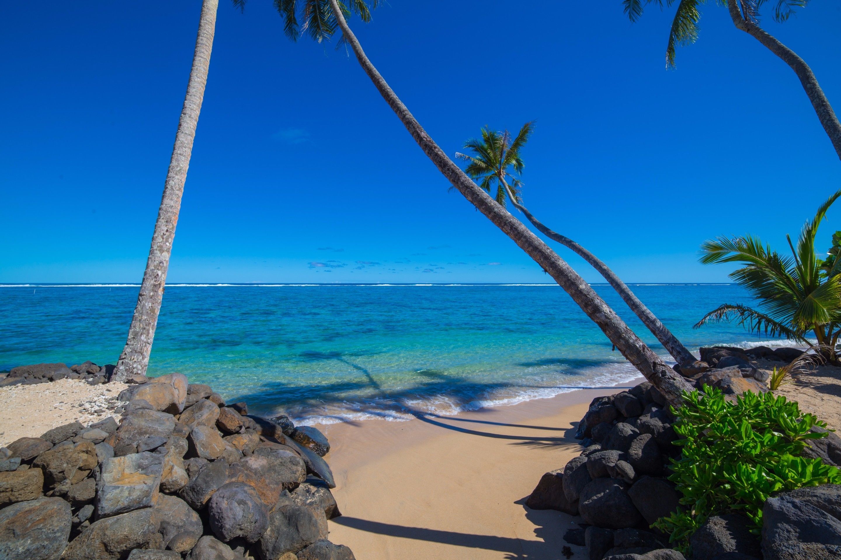 A beach with clear blue water, palm trees, and a rocky foreground.
