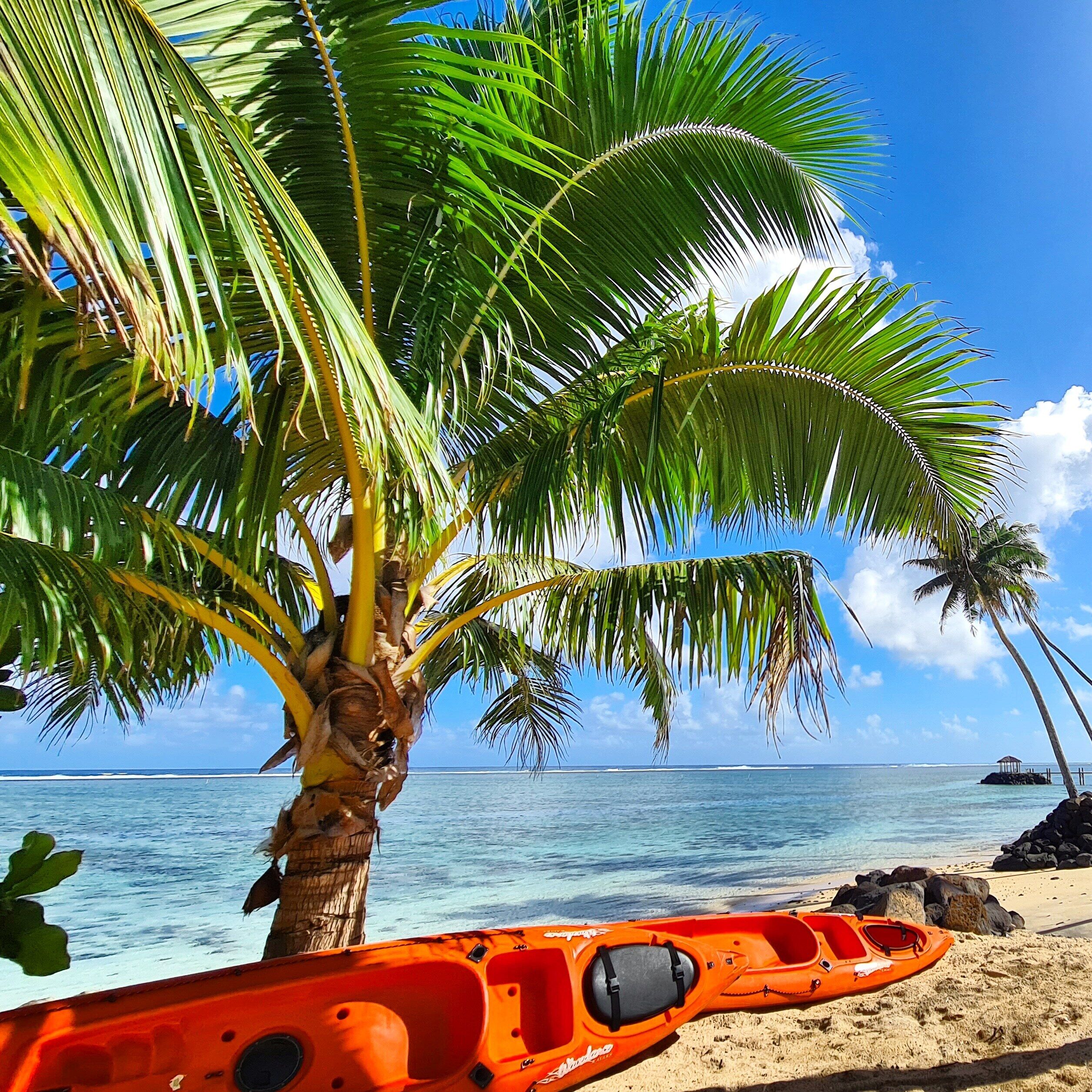 A beach with a kayak, palm trees, and the ocean.