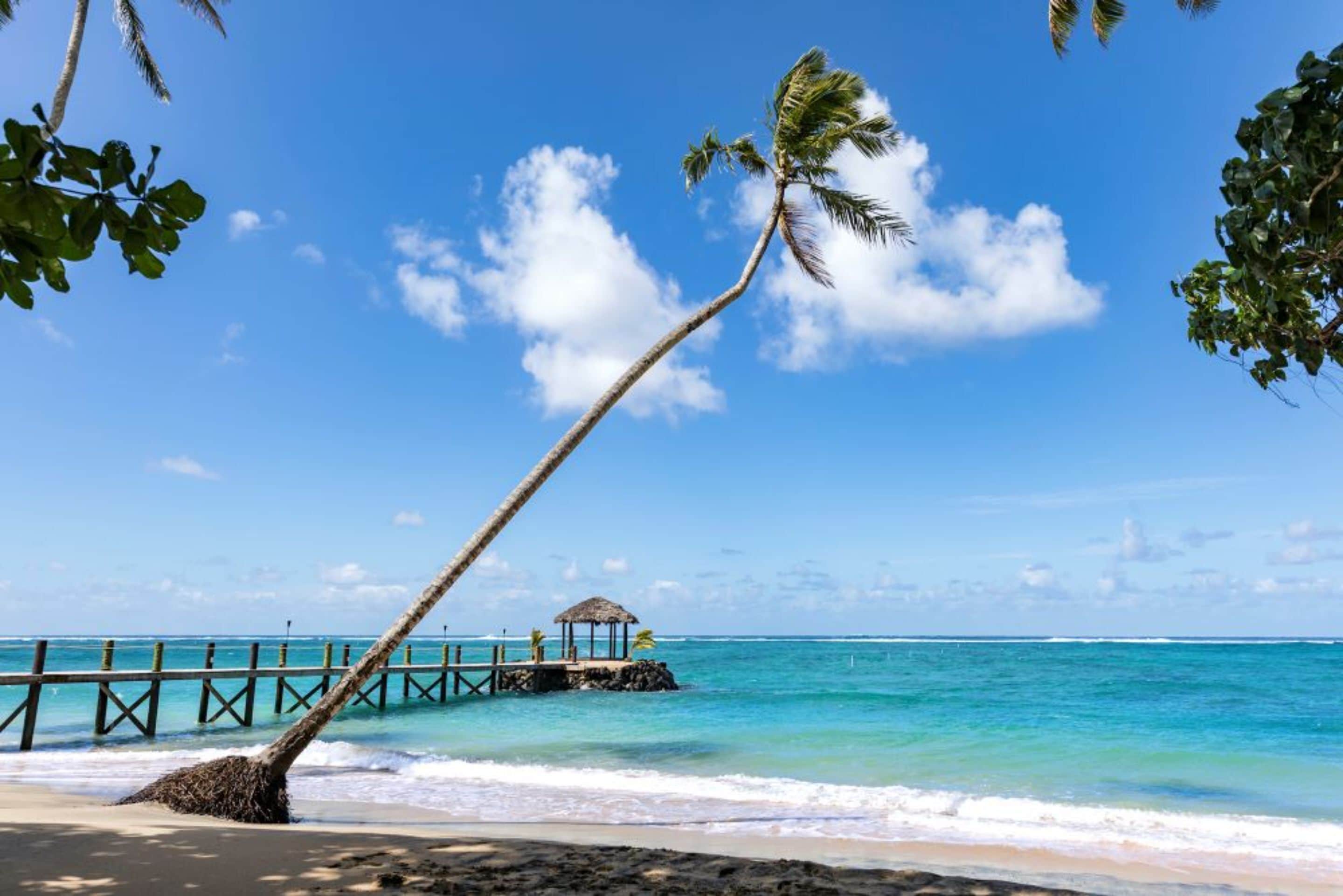 Una playa con una palmera, cielo azul despejado, mar turquesa y un muelle de madera con una cabaña.