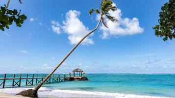 Una playa con una palmera, cielo azul despejado, mar turquesa y un muelle de madera con una cabaña.