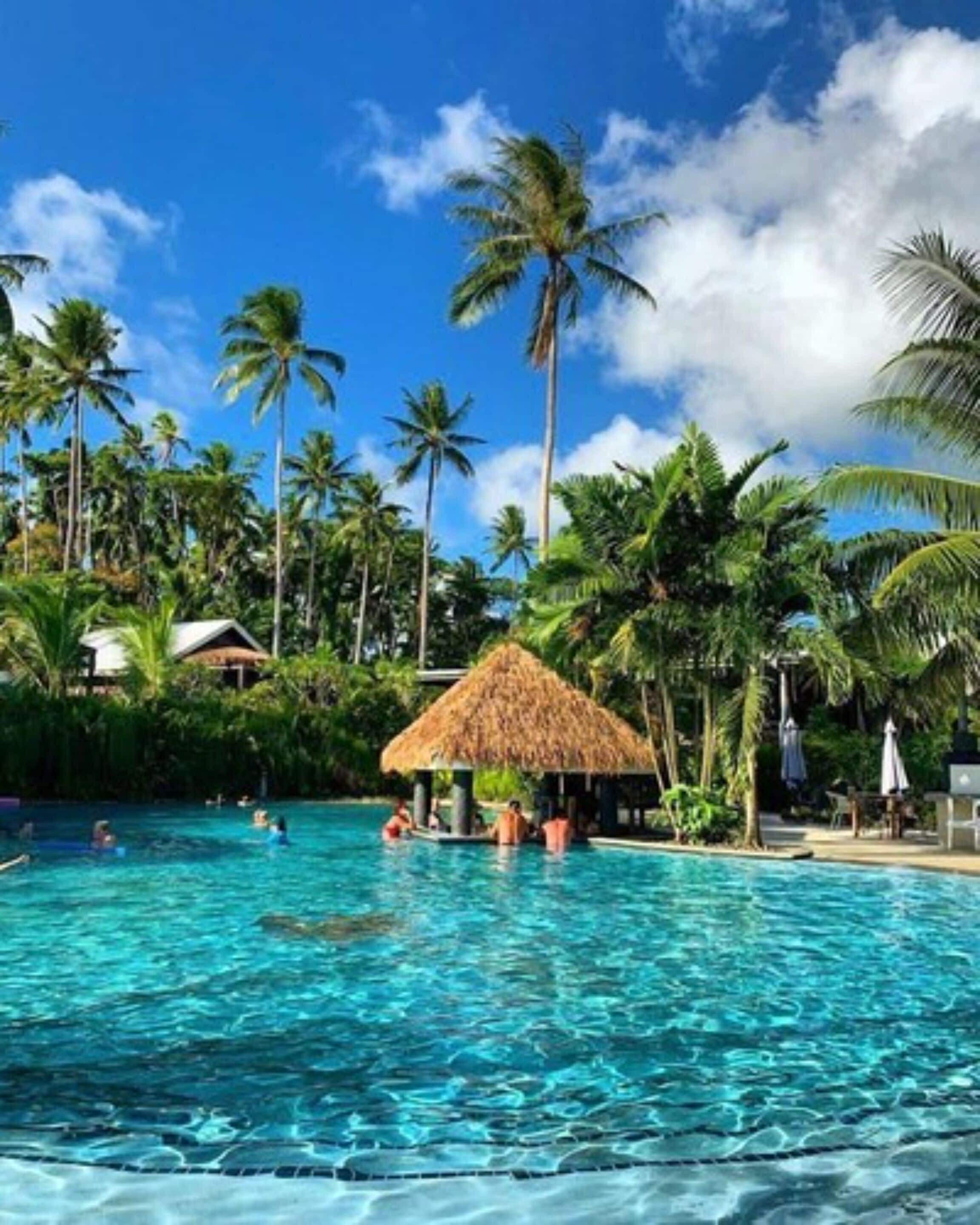 A swimming pool with clear blue water, surrounded by palm trees and a thatched-roof structure.