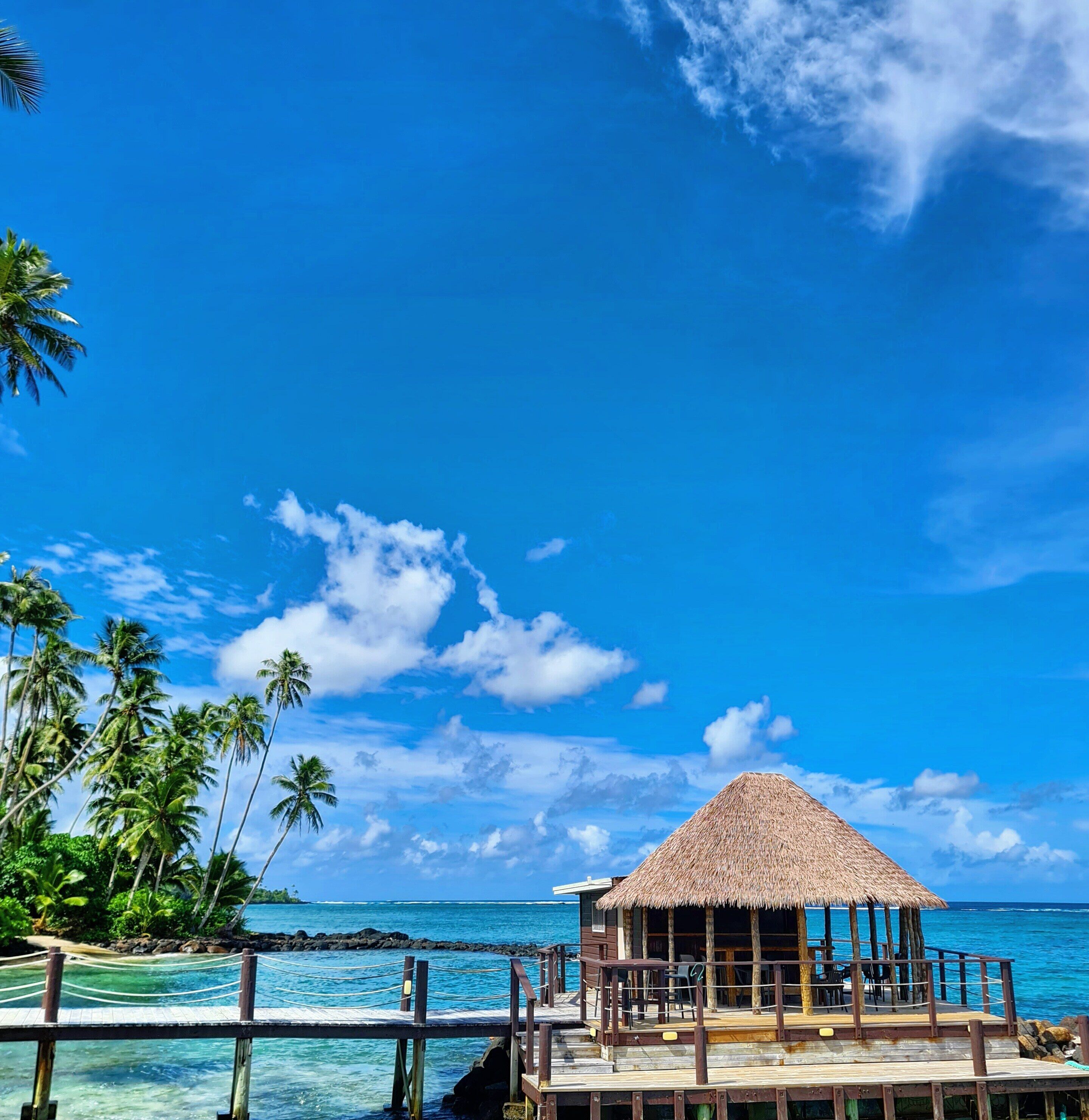 Une structure en bois avec un toit de chaume, une terrasse en bois et une vue sur l’océan et les palmiers.