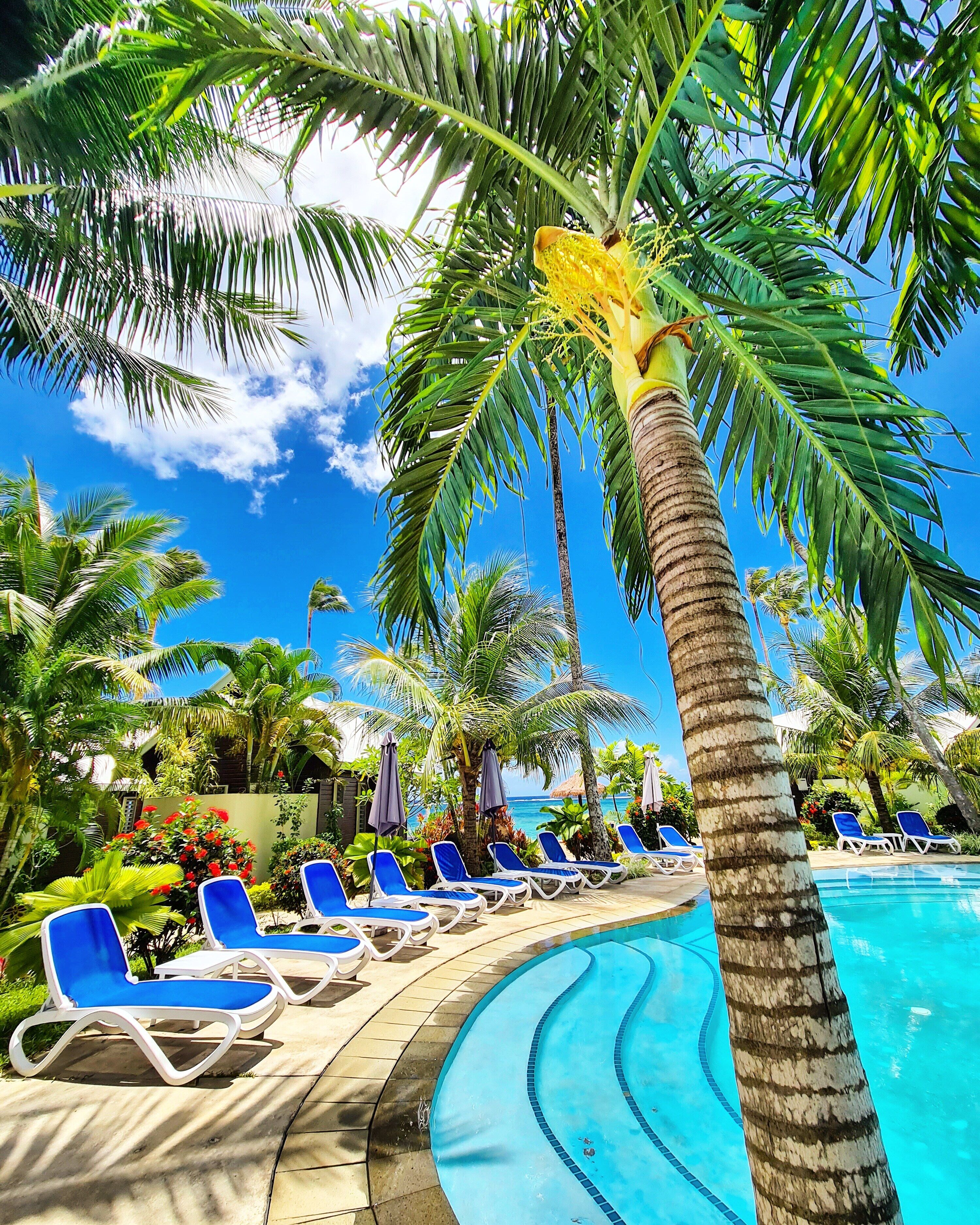 Zona junto a la piscina con sillas de descanso y palmeras.