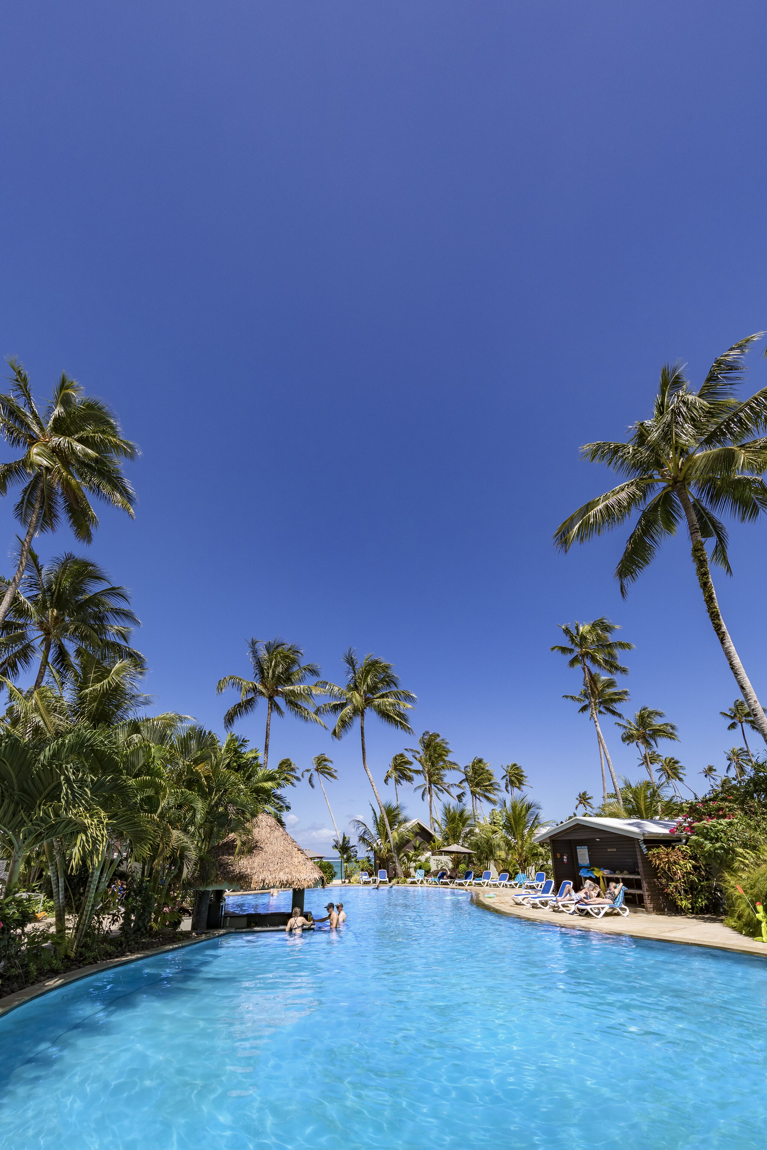 A swimming pool surrounded by palm trees and lounge chairs.