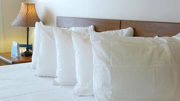 Iron/ironing board, free WiFi, bed sheets