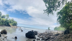 Una playa rocosa con árboles y un cielo despejado.