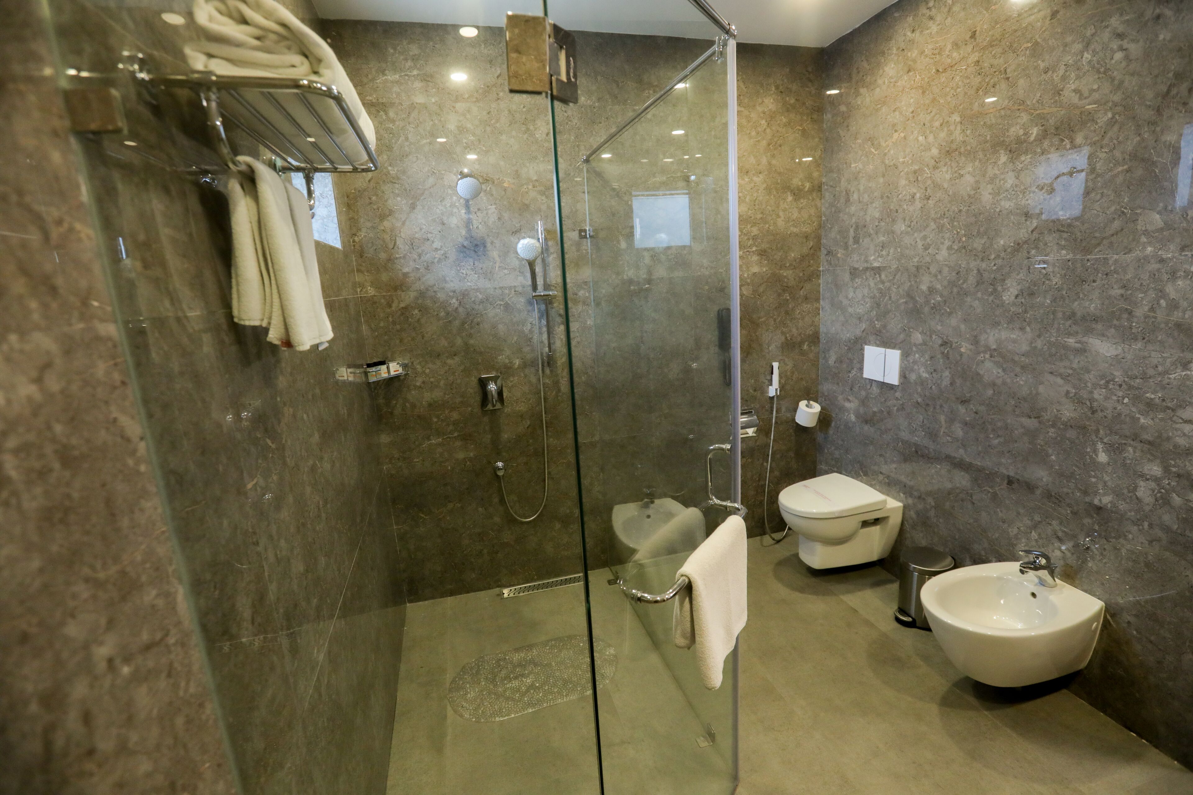 A modern bathroom with a glass-enclosed shower, a sink, and a bidet.