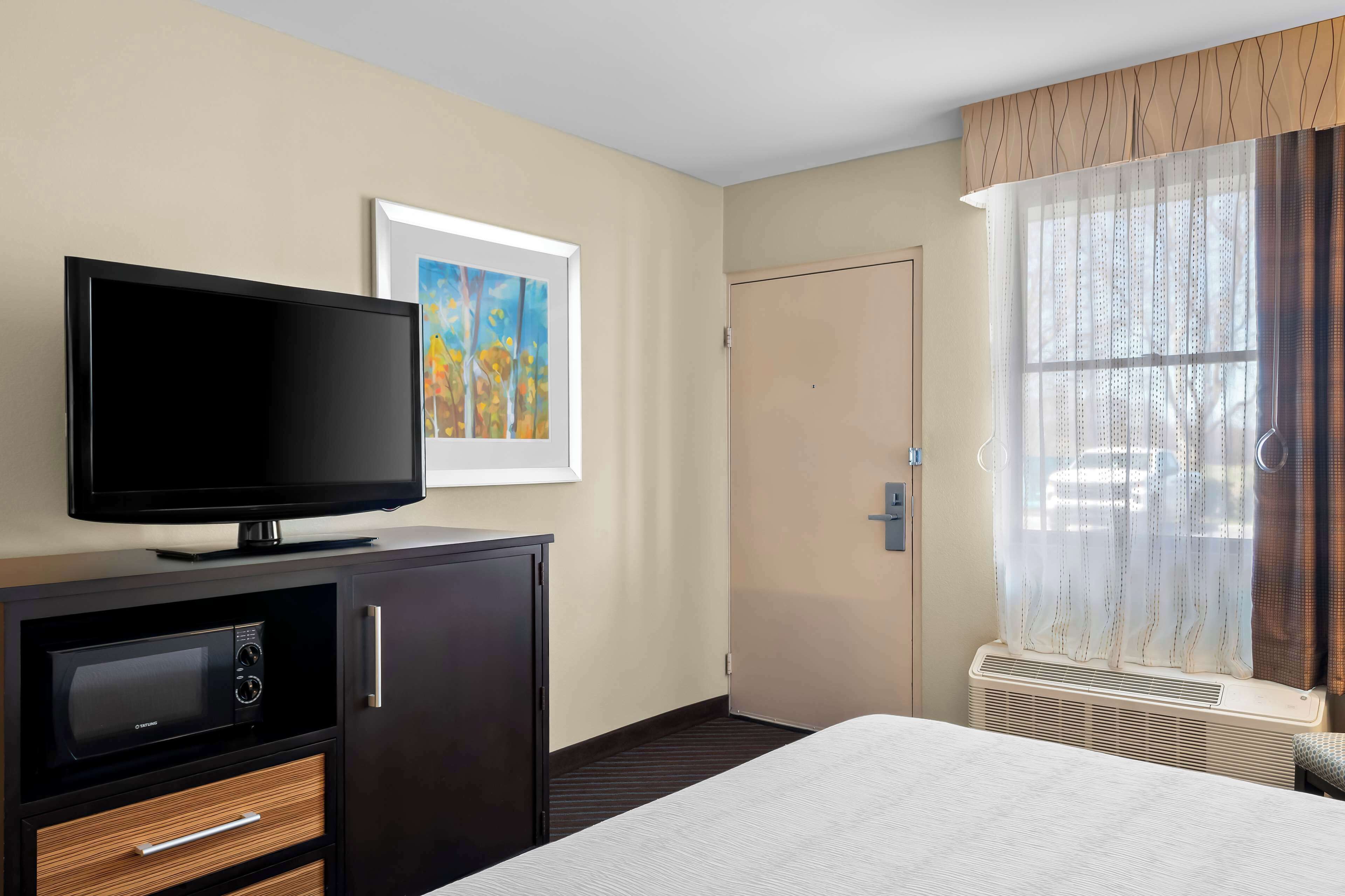 Habitación de hotel con cama, televisor de pantalla plana, microondas, armario, un cuadro, puerta y ventana con cortinas.