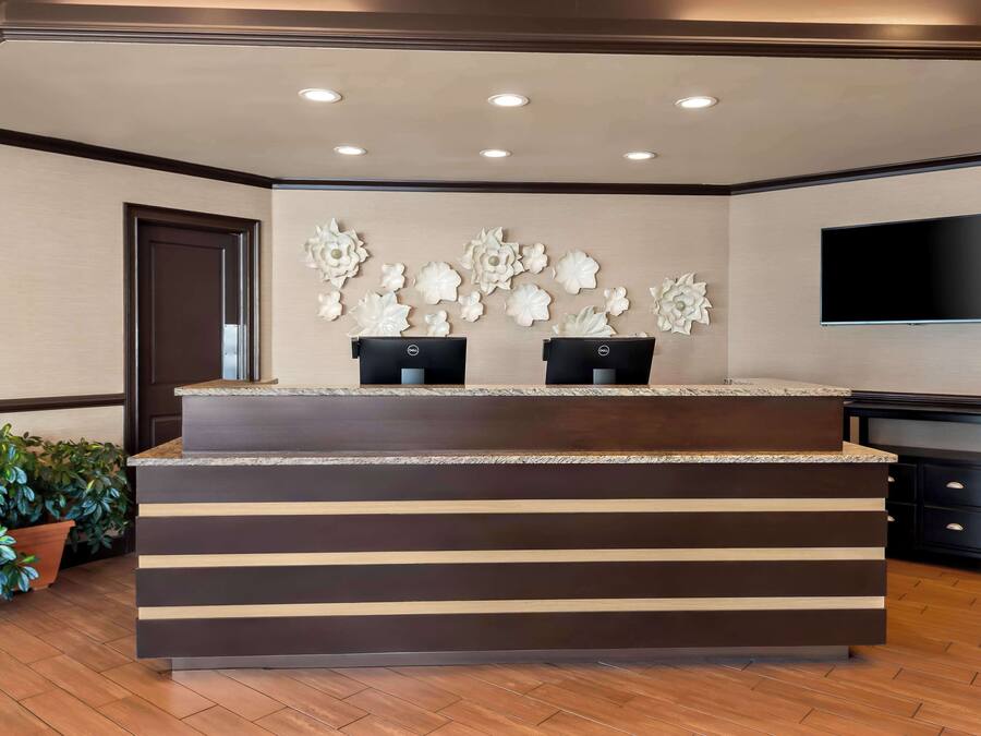 A reception desk with a modern design, a flat-screen TV mounted on the wall, and a potted plant to the left.