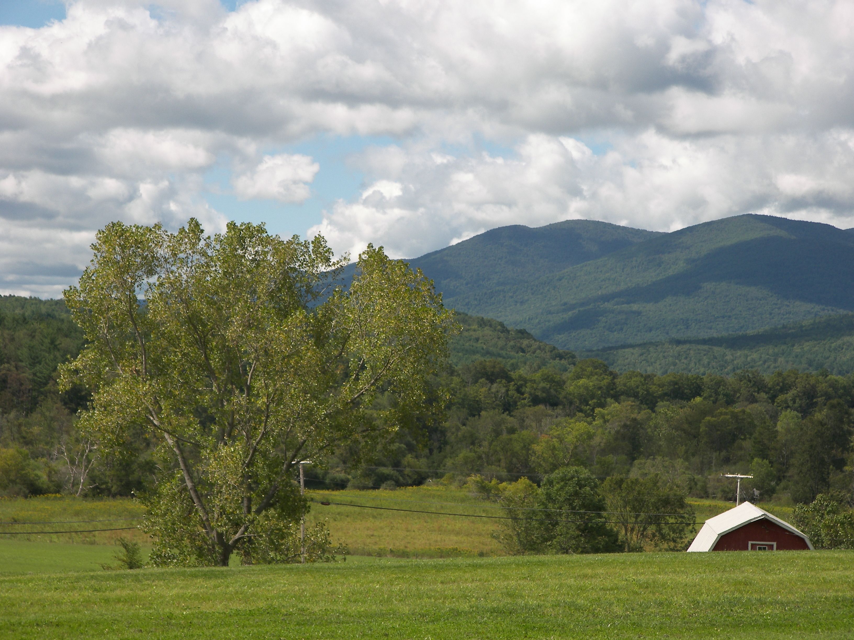 A rural landscape with a red barn, a large tree, and rolling hills in the background.