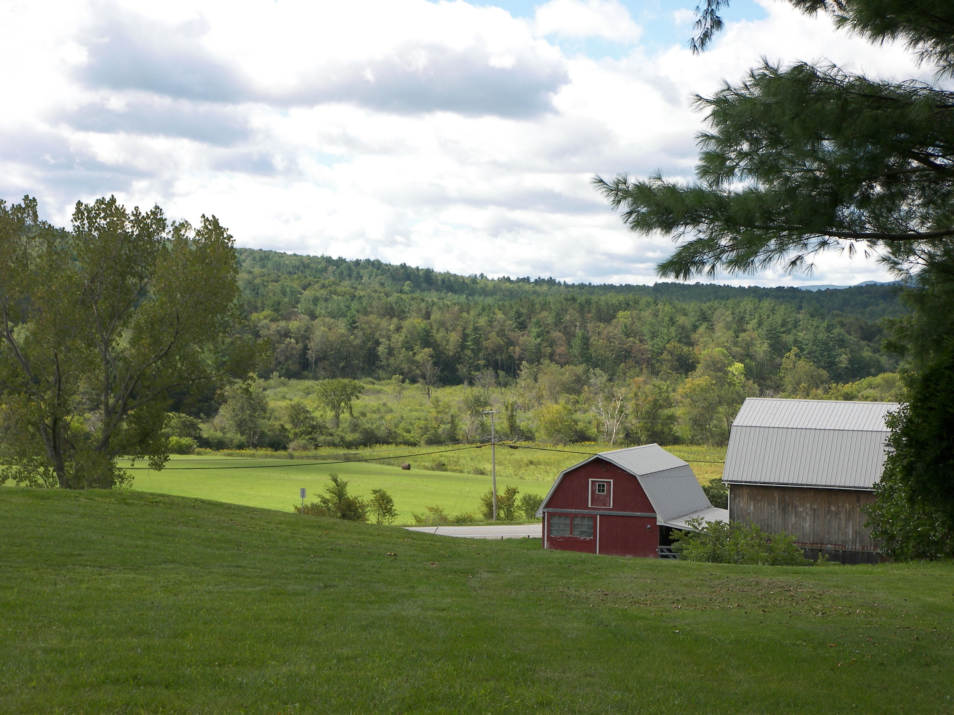A rural landscape with a red barn and a wooden shed.