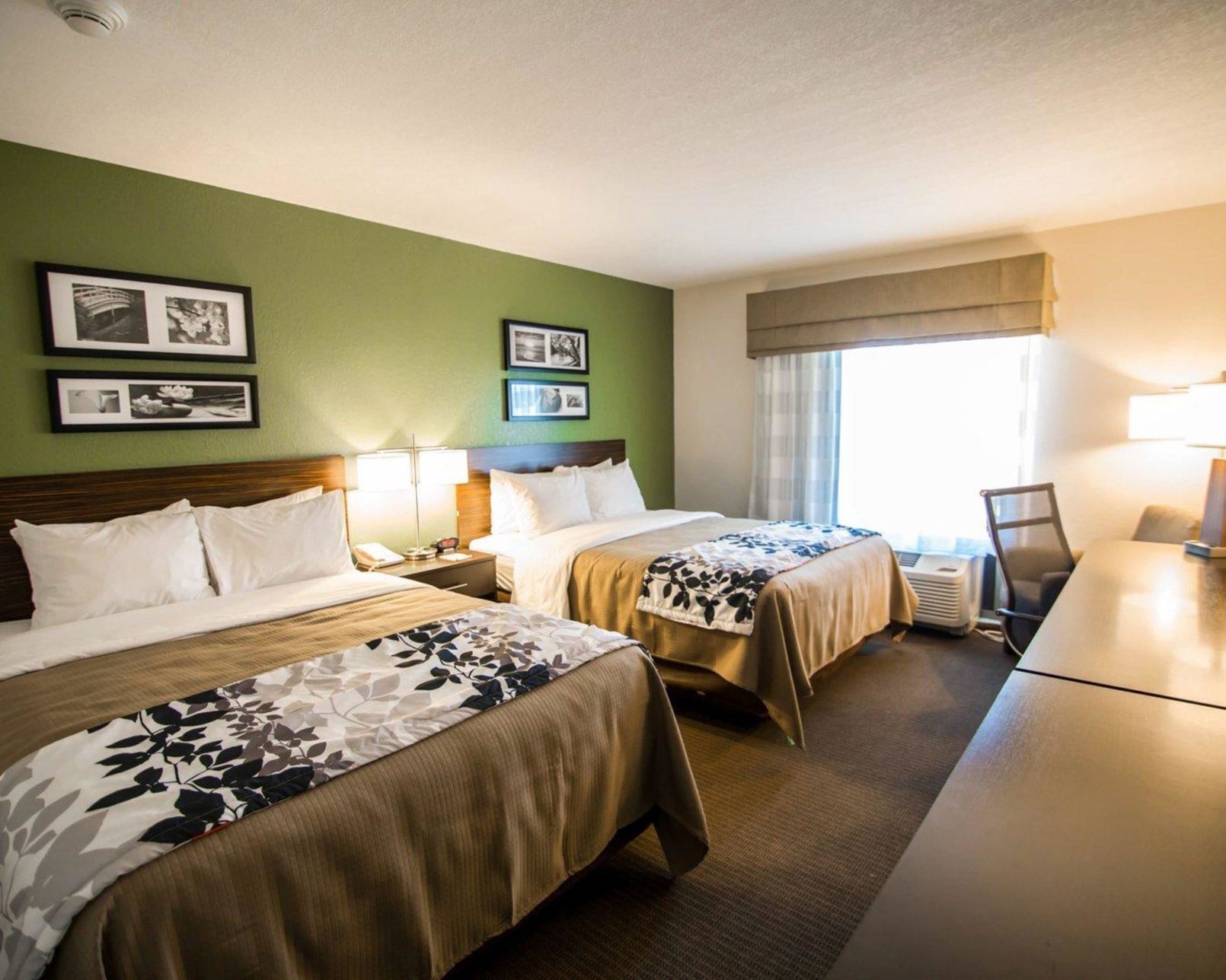 Desk, free WiFi, bed sheets