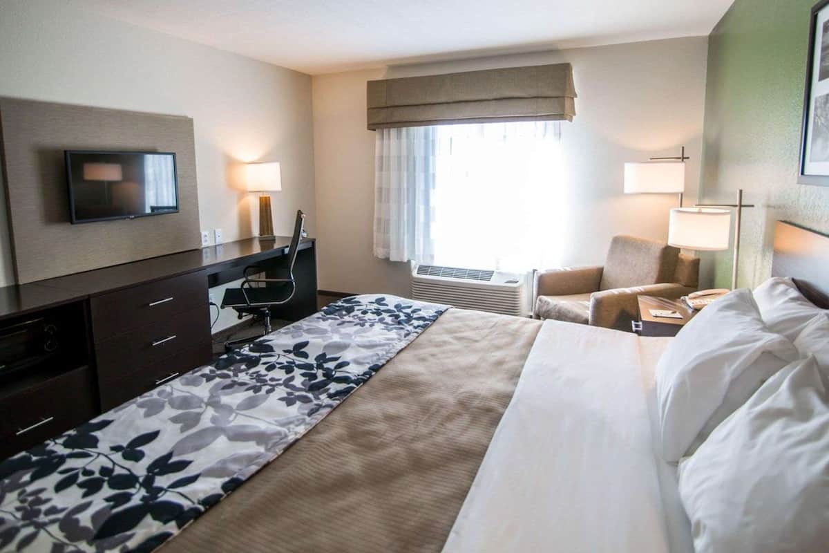 Standaard kamer, 1 kingsize bed, niet-roken | 1 slaapkamer, een bureau, gratis wifi, beddengoed