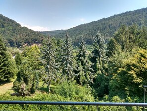 A mountainous landscape with dense forests and a clear sky. - Hotel Neckartal (Heidelberg)