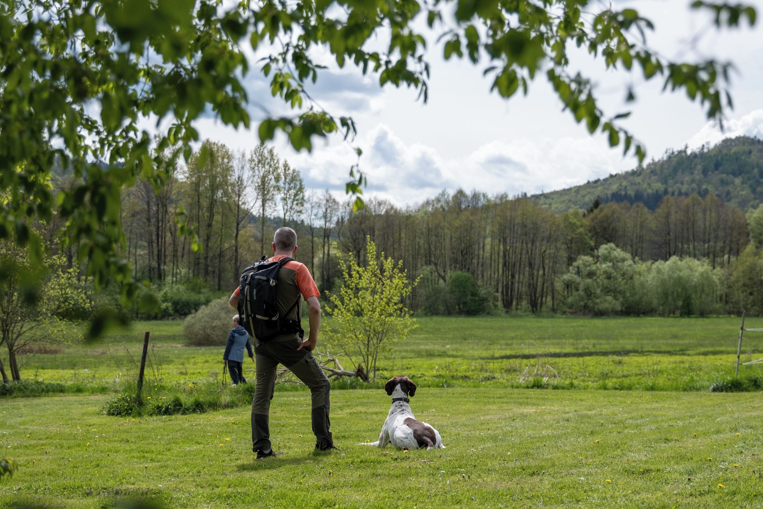 Un hombre con un perro en un campo cubierto de hierba, con árboles al fondo.