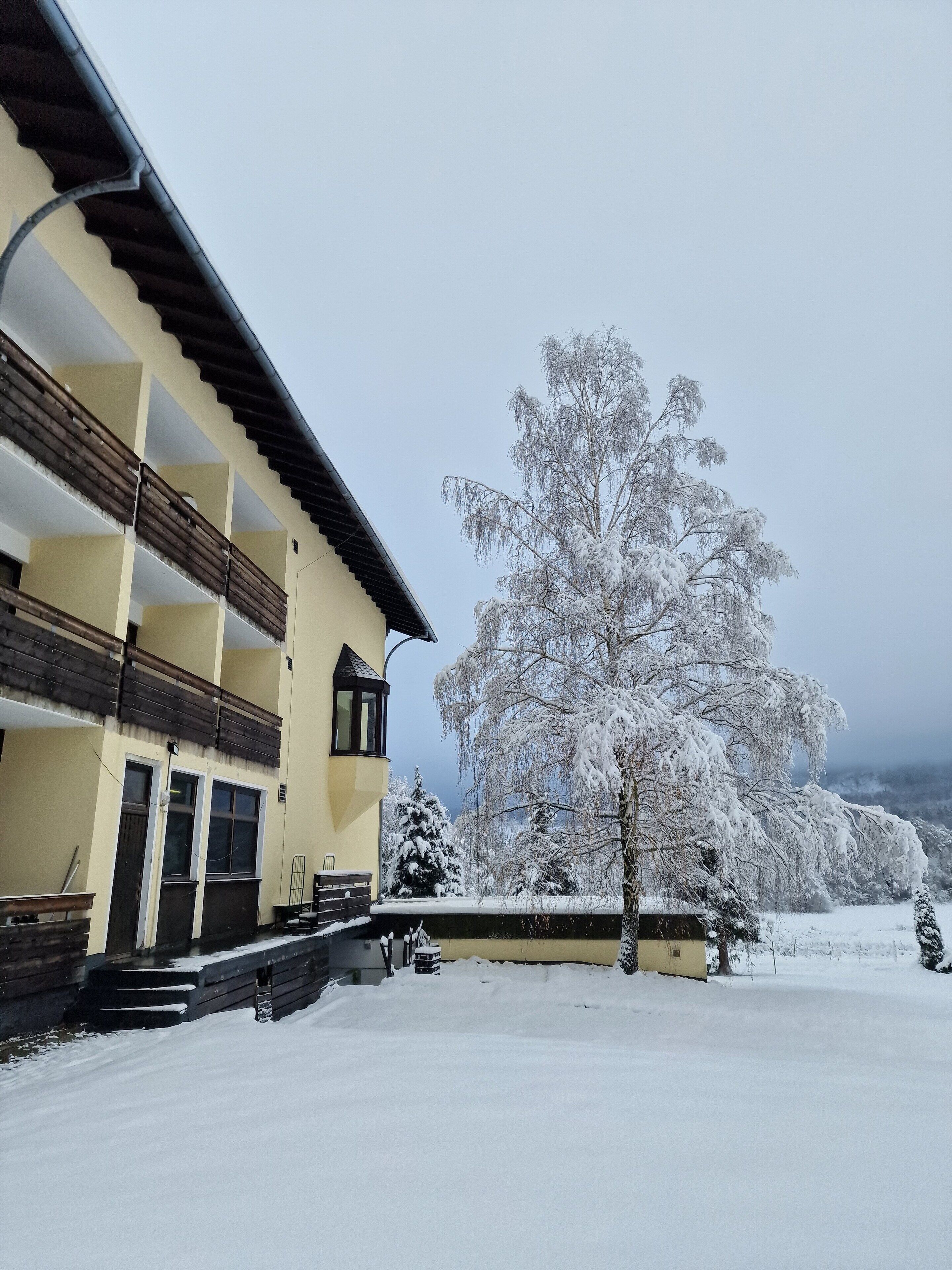 A multi-story building with balconies, a snow-covered tree, and a snowy landscape.