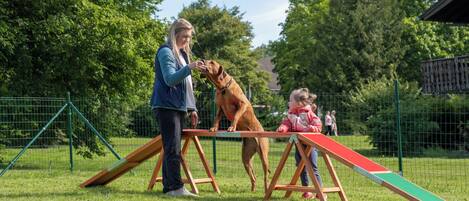 A dog agility course with a ramp and a person and a child interacting with a dog.