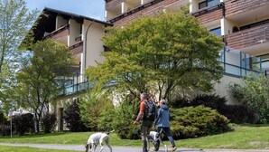 Un chemin où l’on voit deux personnes et deux chiens qui se promènent, entourés de verdure et avec un bâtiment doté de balcons en arrière-plan.