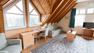 Studio Supérieur, 1 lit double et 1 canapé-lit, salle de bains attenante, vue ville