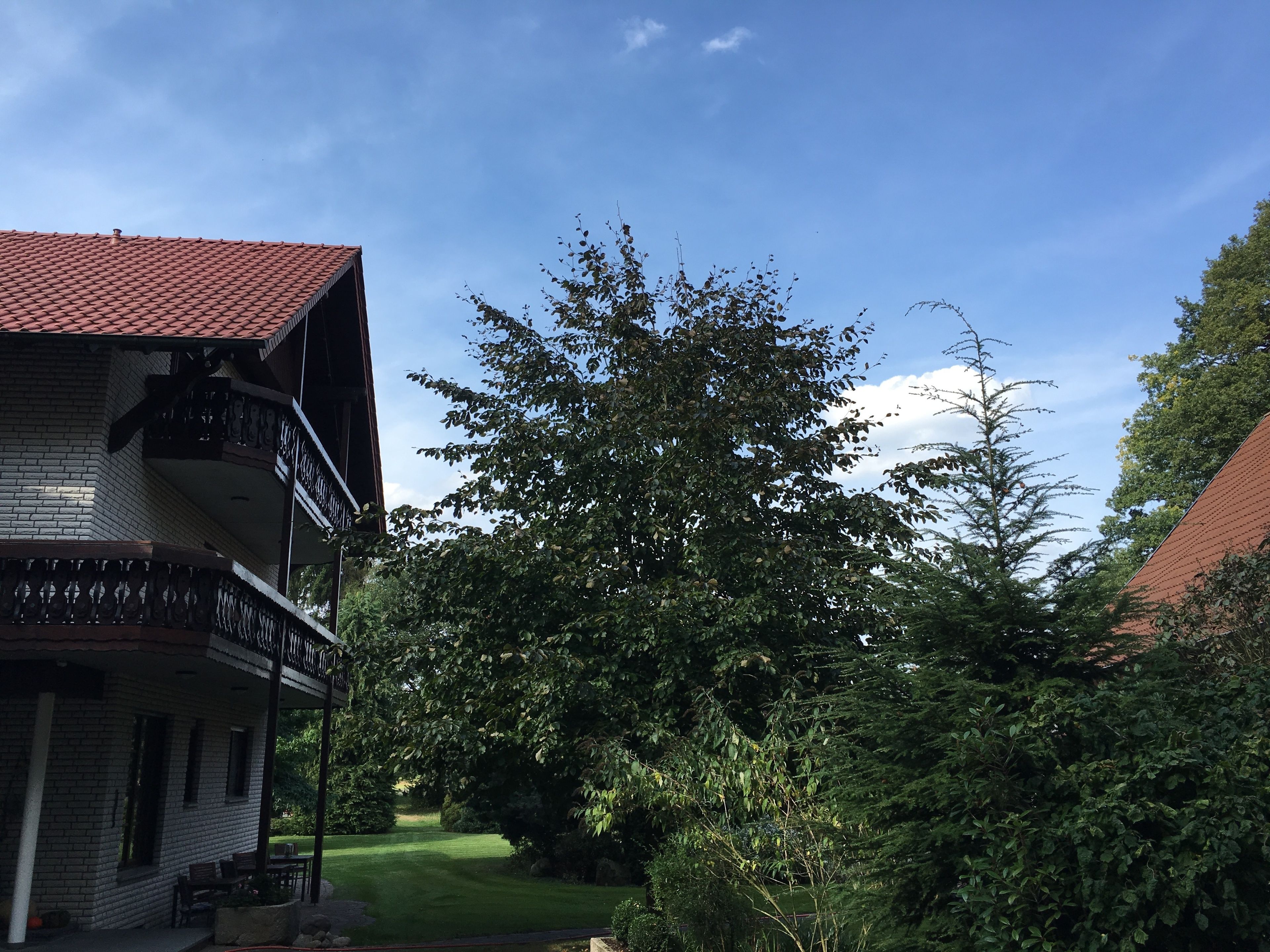 Foto - Landhaus Hotel Göke