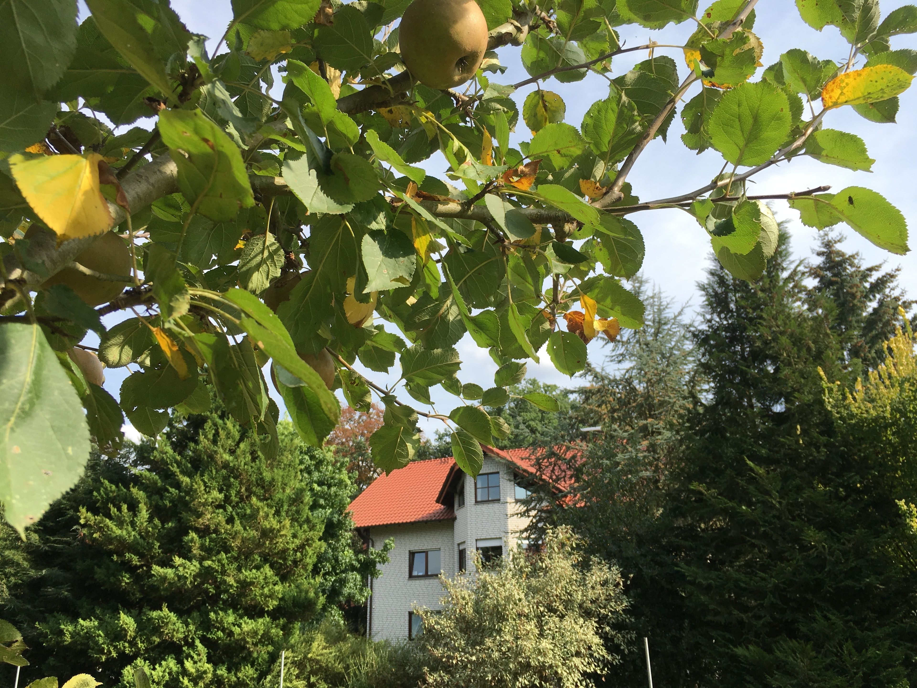 Foto - Landhaus Hotel Göke