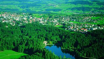 A town surrounded by dense forests and a lake.