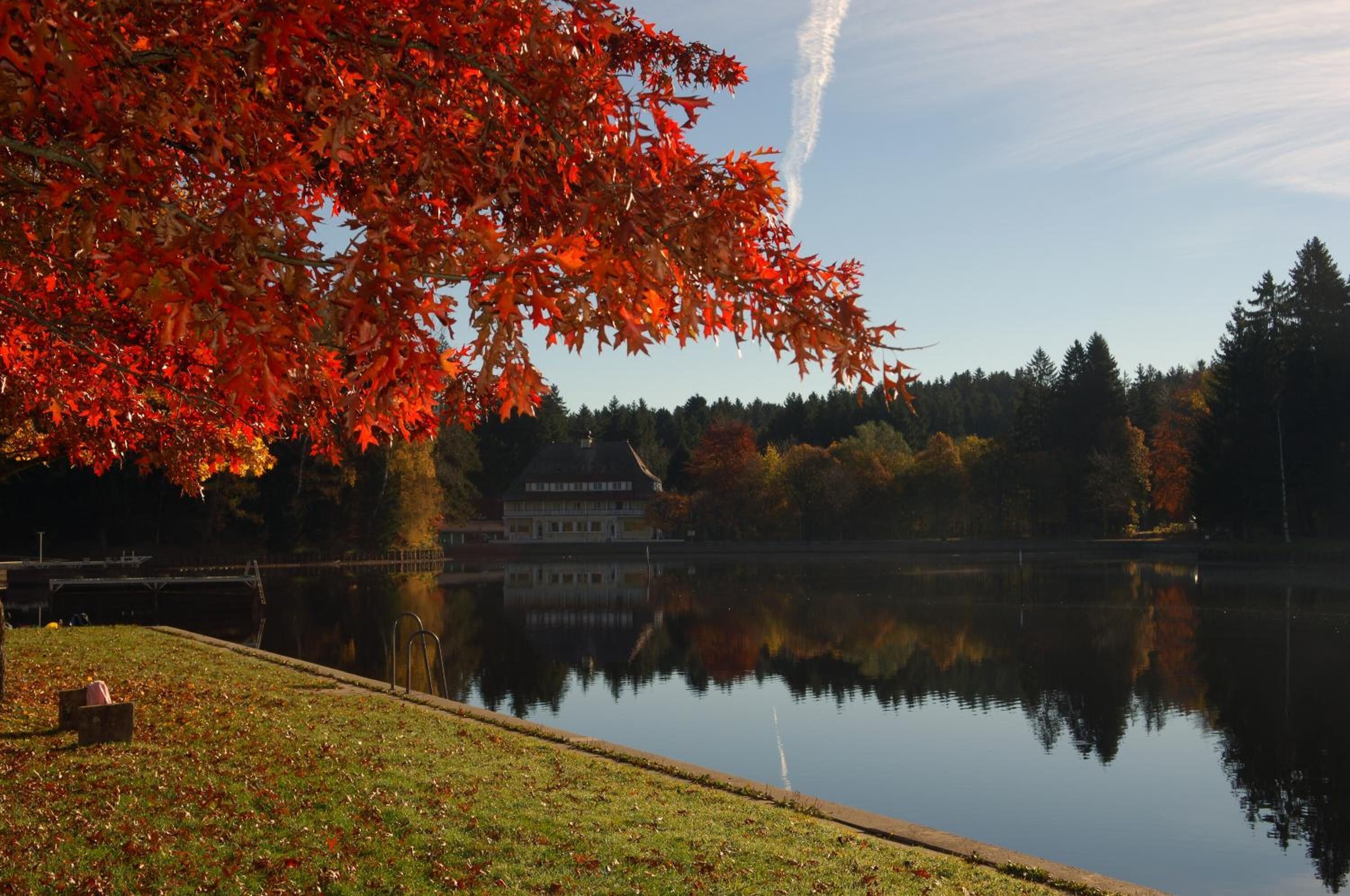 Una escena tranquila junto al lago con una casa a la orilla, rodeada de follaje otoñal.