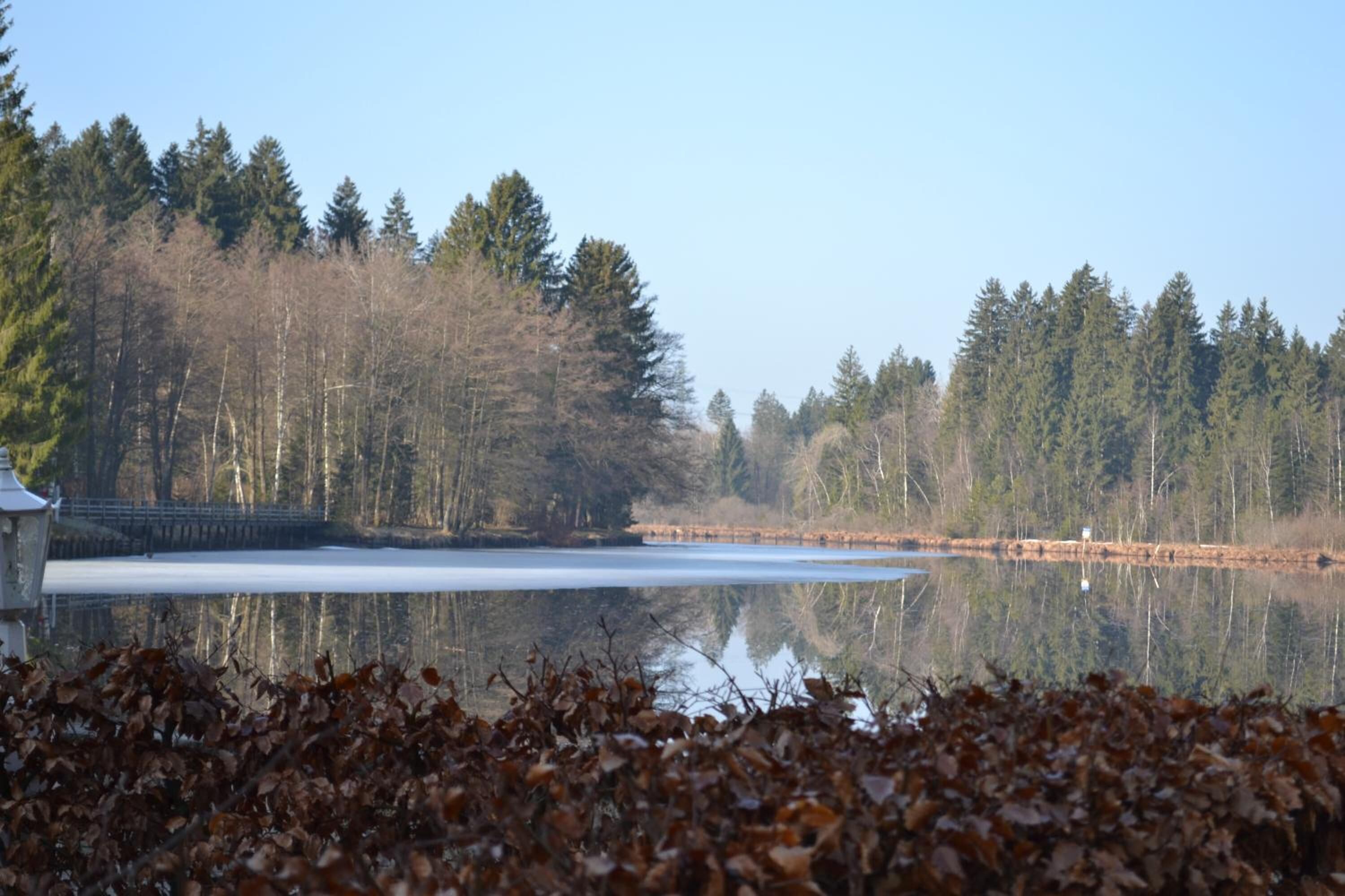 A serene lake surrounded by dense trees, a clear sky, and a calm water surface reflecting the surroundings.