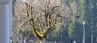 Hotel Waldsee