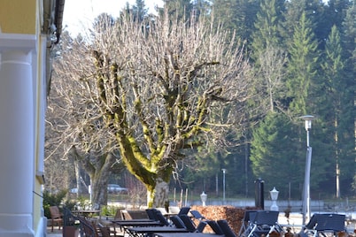 Hotel Waldsee