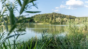 Un lago sereno rodeado de exuberante vegetación y una colina boscosa.