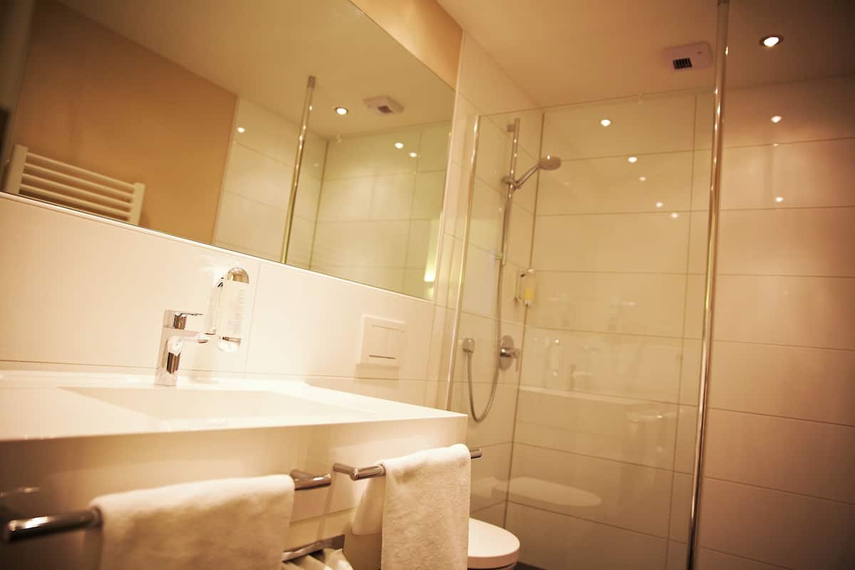 shower, free toiletries, hair dryer, towels