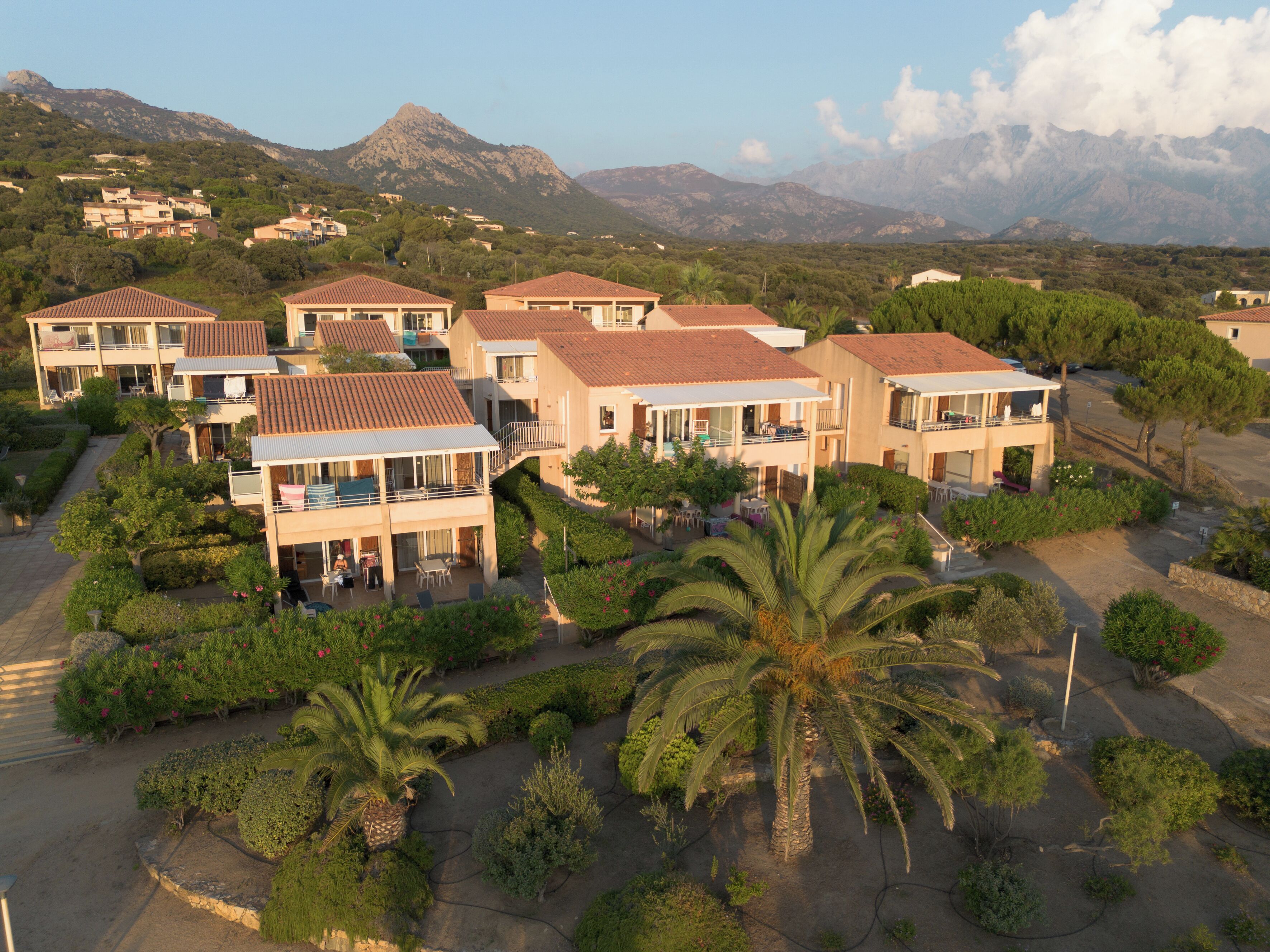 Un quartier résidentiel composé de plusieurs maisons à deux étages, avec une cour centrale agrémentée de palmiers et un paysage montagneux en arrière-plan.