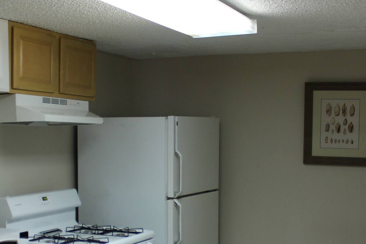 Apartamento família, várias camas, cozinha | Cozinha privada | Frigobar