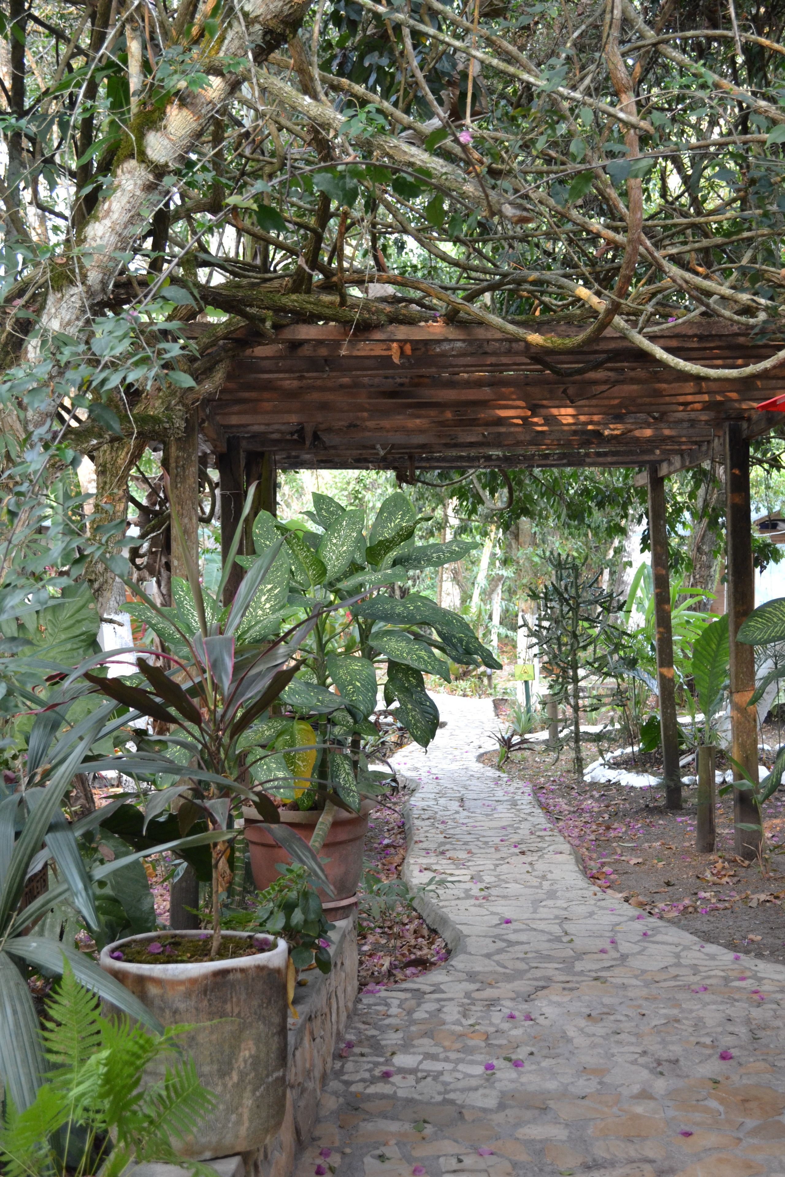 Photo - Hotel Jaguar Inn Tikal