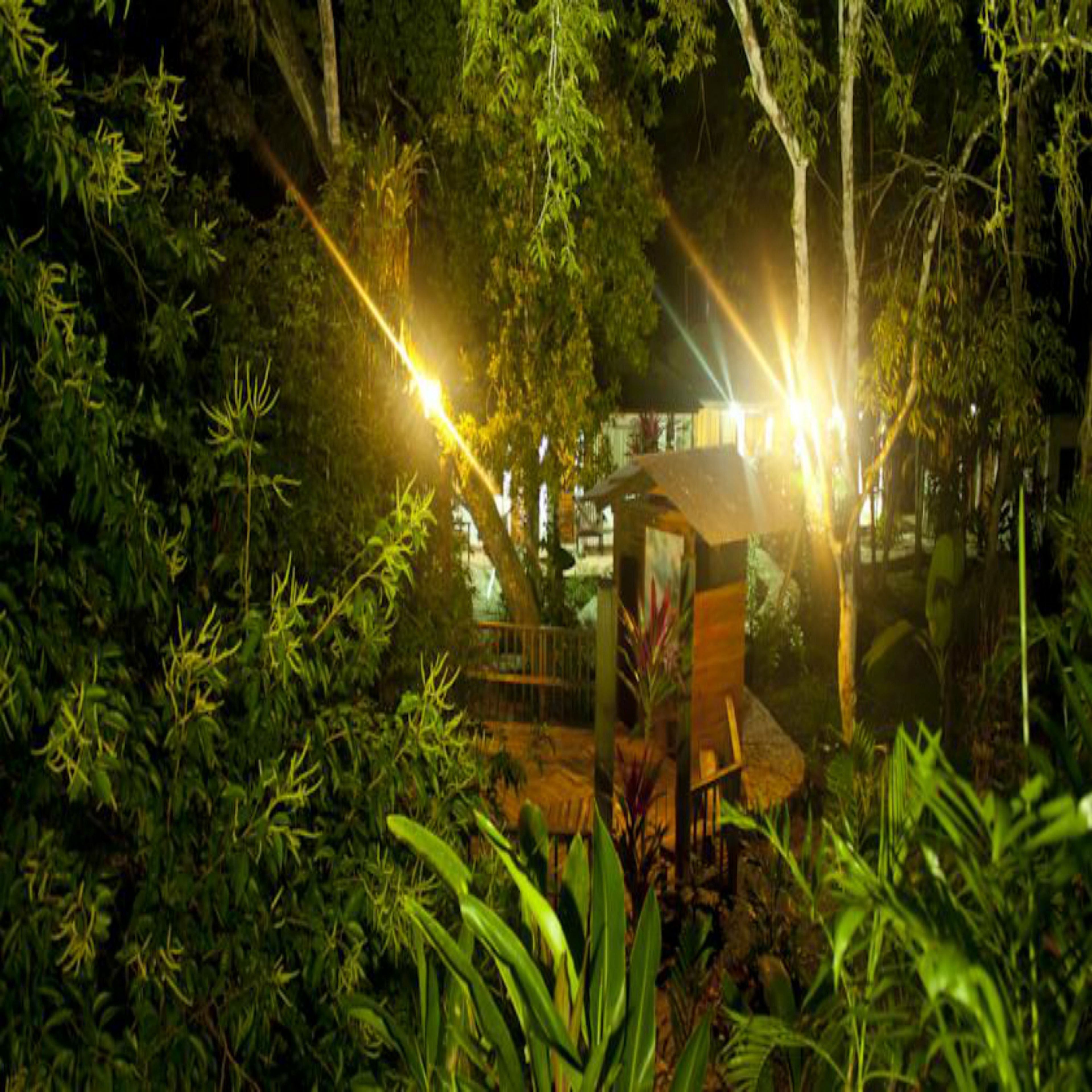 Foto - Hotel Jaguar Inn Tikal