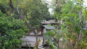 A wooden deck surrounded by dense foliage, leading to a small building with a metal roof.