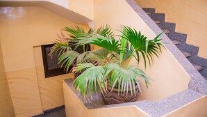 A staircase with a beige wall and a potted plant. - Guardian Guest House (Giza)