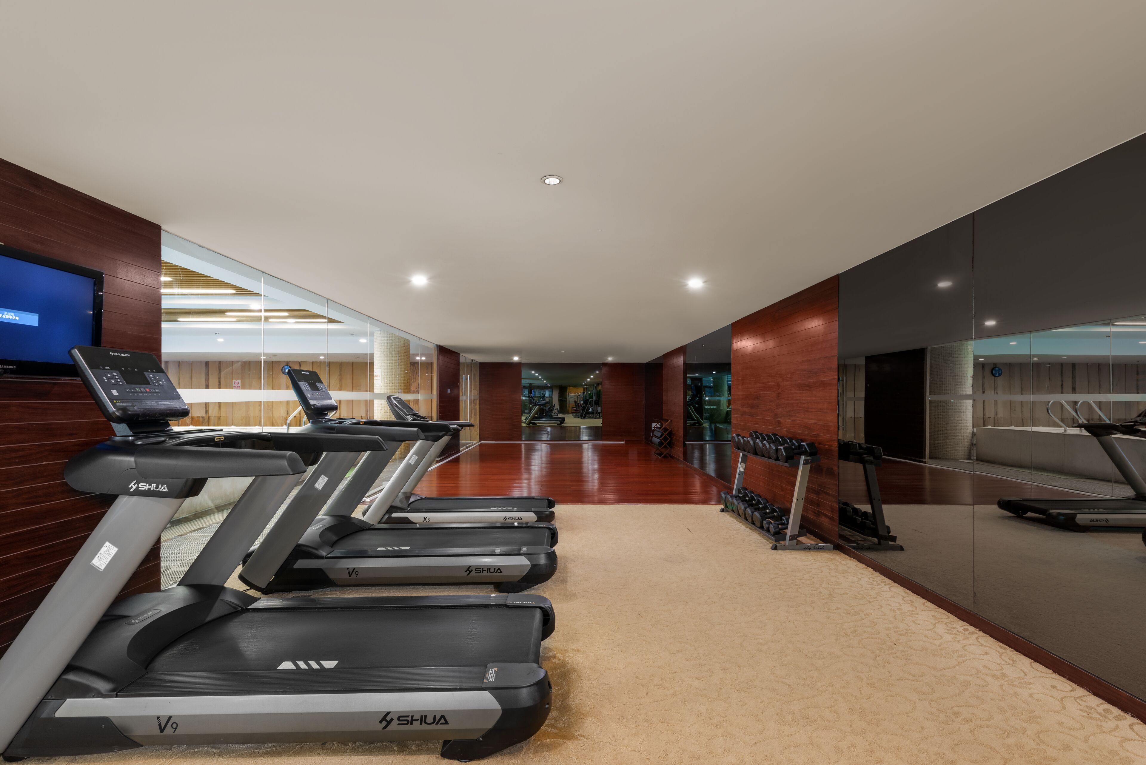 Un gimnasio moderno con cintas de correr, un espejo grande y una pantalla de televisión.