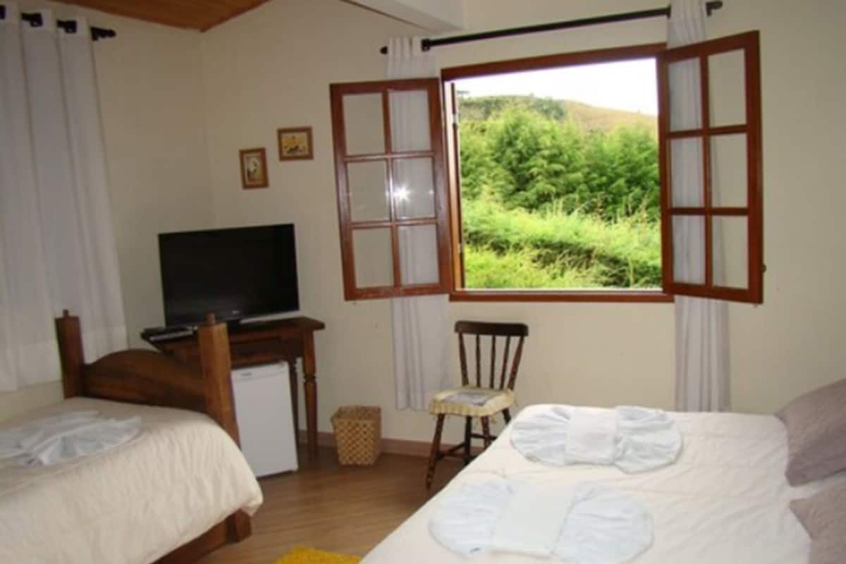Un dormitorio con dos camas, televisión y ventana con vista a la vegetación.