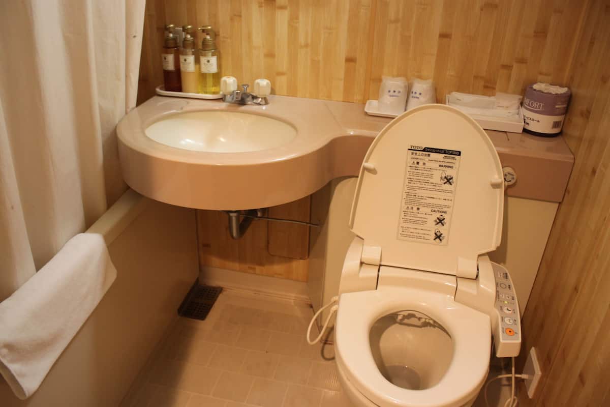 combined shower/bathtub, free toiletries, hair dryer, bathrobes