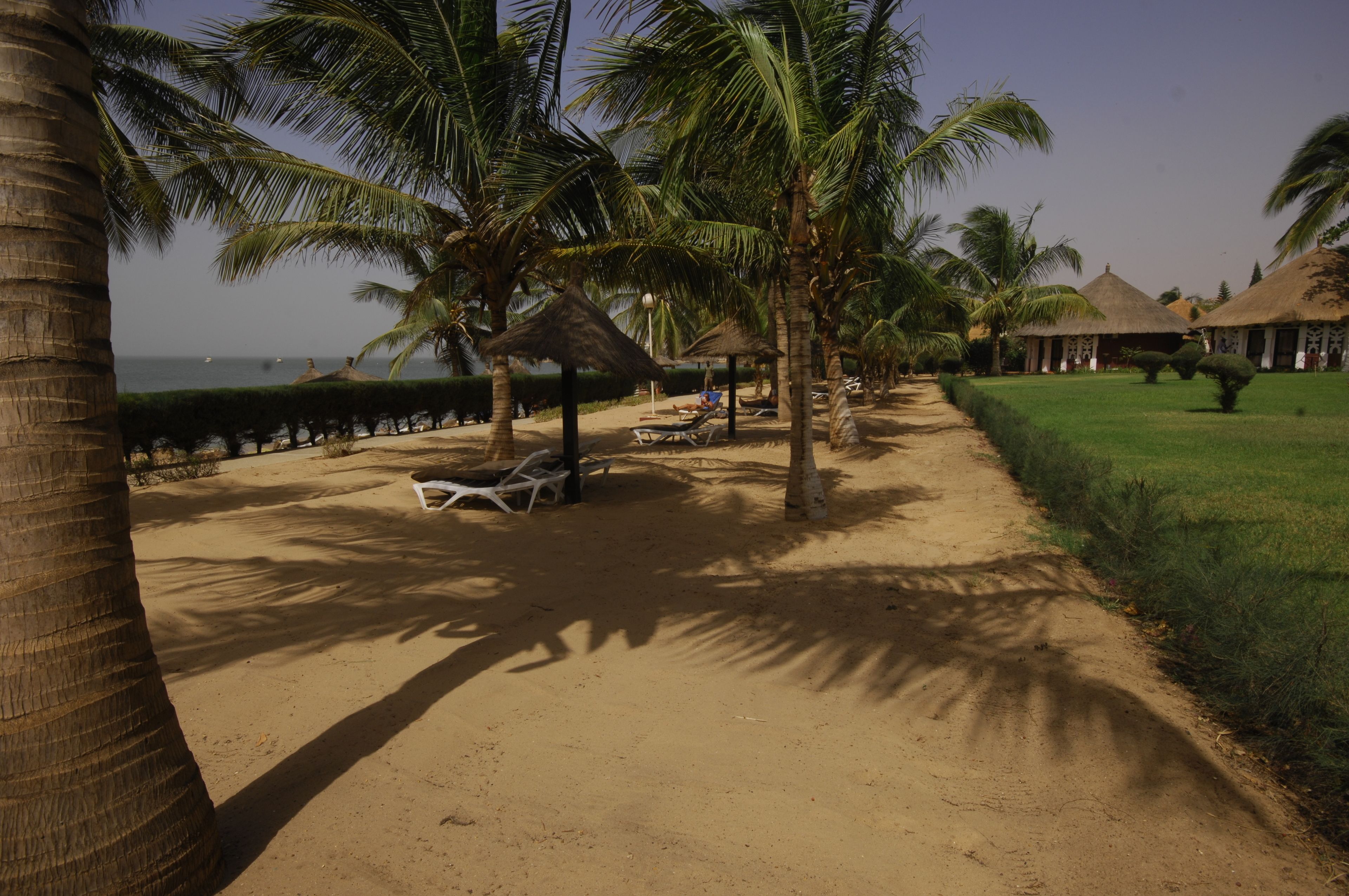 Una playa con palmeras, chozas de techo de paja y una vista despejada del océano.